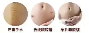 微信图片_20220407095255.jpg