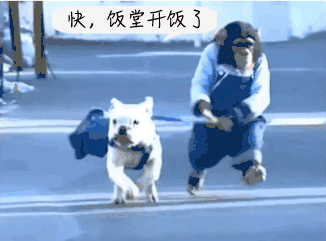 8.gif