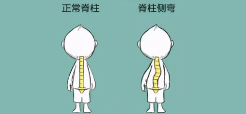 让孩子“挺直腰杆”  “正脊”少年暑期训练营开始招募啦～